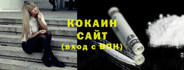 сатива Ельня
