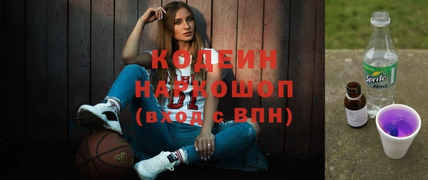 прущий лед Арсеньев