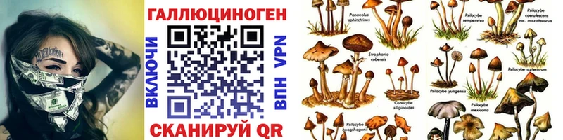 Галлюциногенные грибы GOLDEN TEACHER Валдай